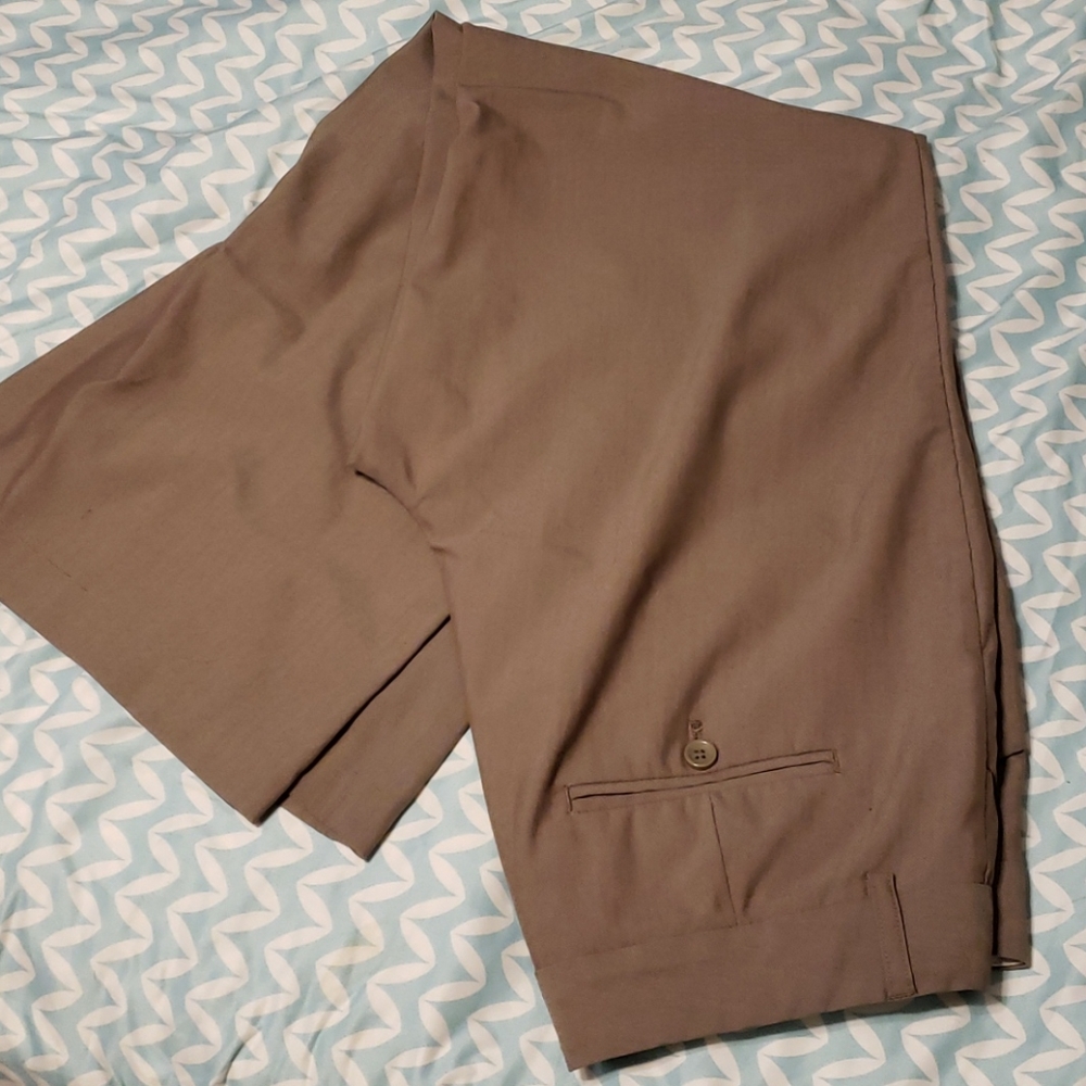 Express Editor Dress Pants